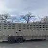 2026 EAGLE X 24'X7' LIVESTOCK TRAILER WITH 2-8000LB AXLES RO0867